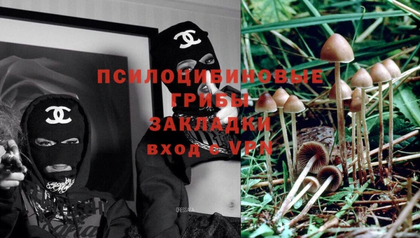 кокаин перу Медногорск