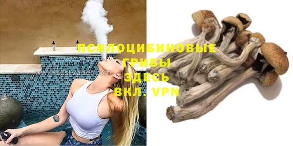 стафф Магас